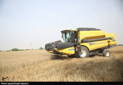 قیمت گندم ۵نرخی شد