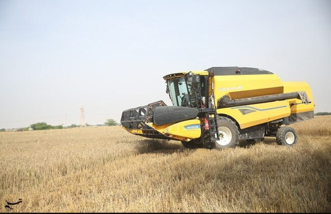 قیمت گندم ۵نرخی شد