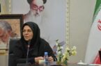 محمدی: نیمی از کتابخانه‌های کرمانشاه در جنگ رمضان فعال بودند