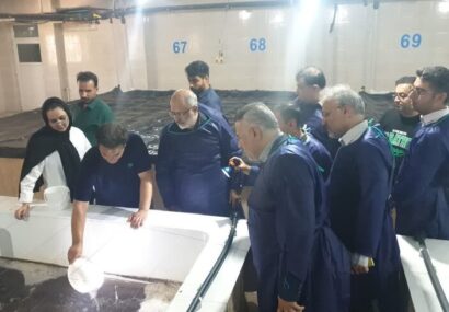 مدیرکل بازرسی بوشهر: فعالیت های آبزی پروری با تکیه بر دانش توسعه یابد