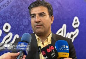 ممنوعیت توزیع مرغ منجمد در تهران به دلیل «شیوه غلط قیمت‌گذاری»