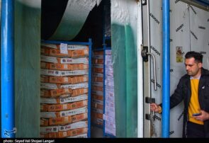 موجودی کالاهای اساسی کشور از زمان صلح هم بیشتر است