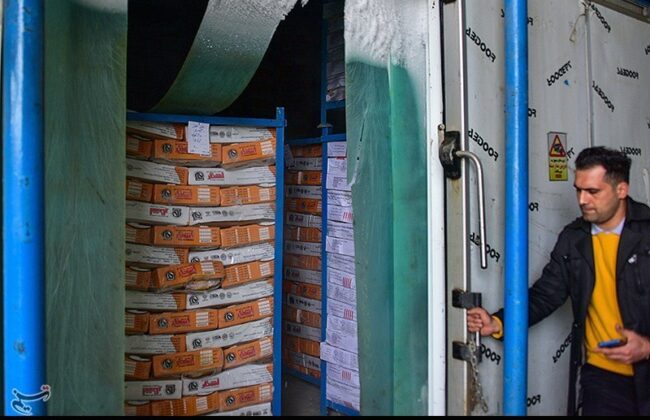 موجودی کالاهای اساسی کشور از زمان صلح هم بیشتر است