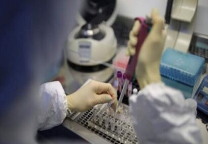 ناظمیان‌پور: ۳۷ هزار تست آزمایشگاهی در «دیر» انجام شد