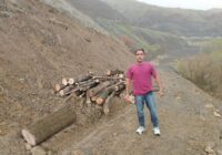 کشف و ضبط ۱۵۰۰ کیلوگرم چوب بید حاصل از قطع غیرمجاز در کامیاران