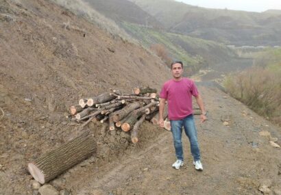 کشف و ضبط ۱۵۰۰ کیلوگرم چوب بید حاصل از قطع غیرمجاز در کامیاران