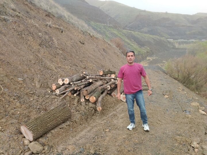 کشف و ضبط ۱۵۰۰ کیلوگرم چوب بید حاصل از قطع غیرمجاز در کامیاران