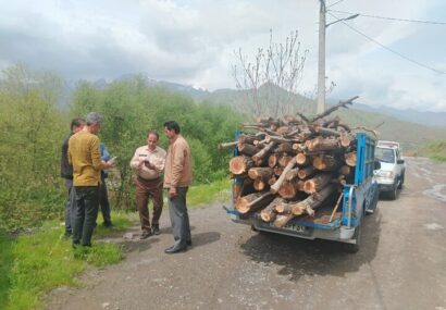 کشف و ضبط ۳ تن چوب بید در کامیاران؛ یک متخلف بازداشت شد