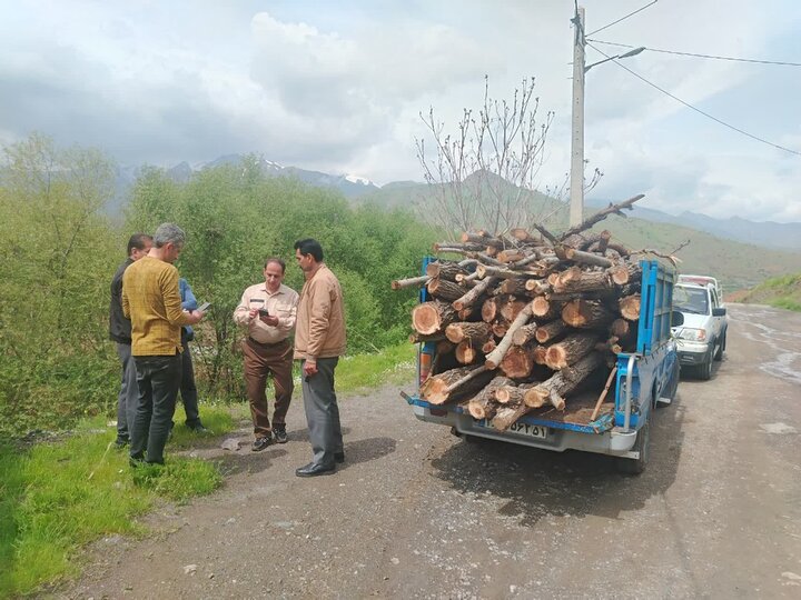 کشف و ضبط ۳ تن چوب بید در کامیاران؛ یک متخلف بازداشت شد