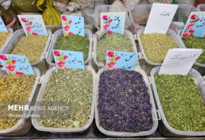 کشف ۷۰ کیلوگرم گیاه دارویی قاچاق در دهلران