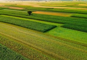 ۴ میلیون هکتار مراتع کشور در سال ۱۴۰۴ حفظ و احیا شد