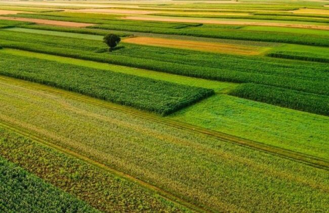 ۴ میلیون هکتار مراتع کشور در سال ۱۴۰۴ حفظ و احیا شد