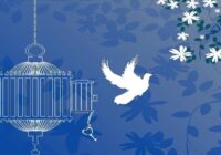 ۴۰ زندانی جرایم غیرعمد در خوزستان به مناسبت دهه کرامت آزاد شدند