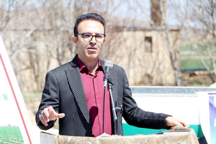 ۷۰۰ هکتار گندم و ۲ هزار هکتار لوبیا با روش نوین در ازنا کشت میشود
