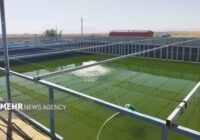 ۸۰ واحد آبزی‌پروری در شاهرود؛ سالانه ۶۰۰ تن گوشت ماهی به بازار می‌آید