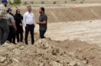 اجرای الگوهای نوین در صنعت پرورش میگو  استان بوشهر