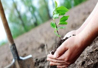 احیای پارک جنگلی دیواندره با ظرفیت احکام جایگزین حبس احیای پارک جنگلی دیواندره با ظرفیت احکام جایگزین حبس