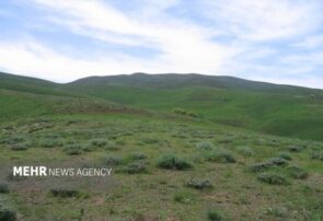 بیش از ۹۴ درصد مراتع سیستان و بلوچستان در وضعیت فقیر است