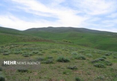 بیش از ۹۴ درصد مراتع سیستان و بلوچستان در وضعیت فقیر است بیش از ۹۴ درصد مراتع سیستان و بلوچستان در وضعیت فقیر است