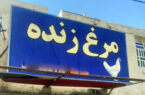 تعطیلی و پلمب انبارهای غیرمجاز مرغ زنده در کرمانشاه