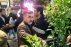 توزیع شبانه نهال مثمر در میدان امام حسین(ع) ساری