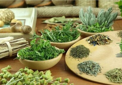 حرکت در مسیر نفوذ فناوری در صنعت گیاهان دارویی
