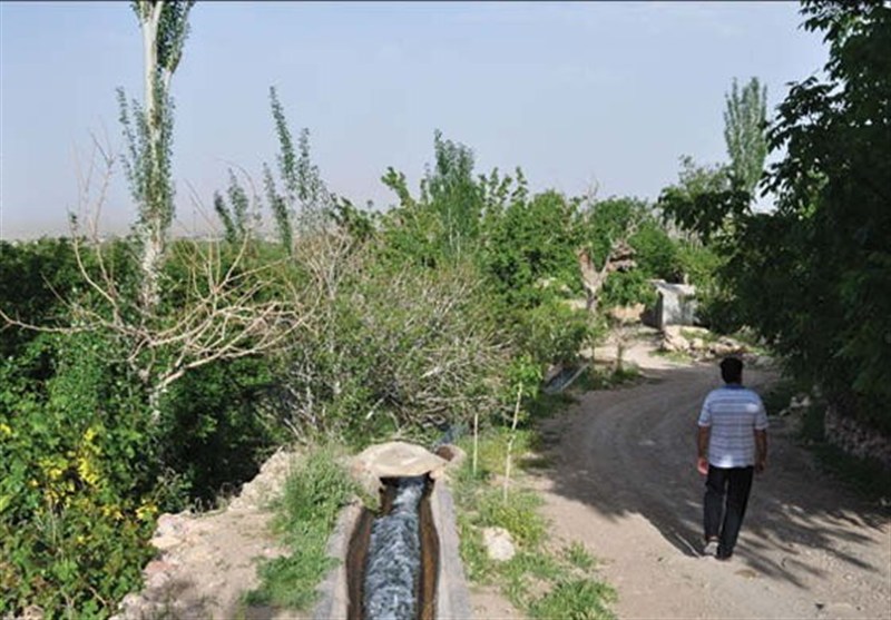 اخبار استان خراسان جنوبی , زندگی روستایی , طبیعت , 
