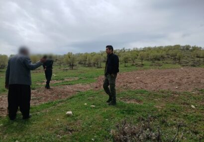 زمین‌خواران در منابع طبیعی کرمانشاه زمین‌گیر شدند
