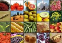 صادرات 20 محصول کشاورزی آزاد شد صادرات 20 محصول کشاورزی آزاد شد