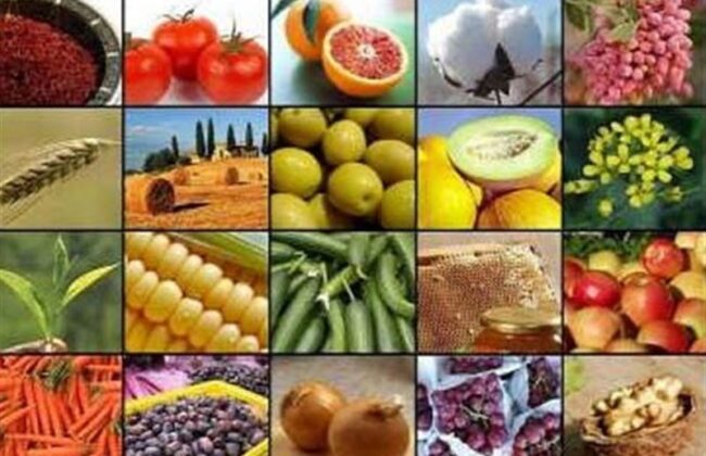 صادرات ۲۰ محصول کشاورزی آزاد شد