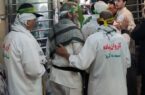 طولانی‌ترین پیاده‌روی اربعین ۱۴۰۵ از مشهد آغاز شد