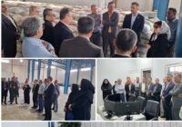 مدیرکل شیلات بوشهر: حمایت از واحدهای تولیدی بومی در اولویت است
