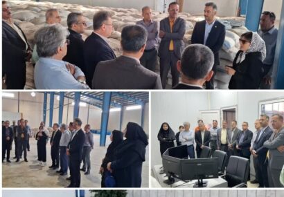 مدیرکل شیلات بوشهر: حمایت از واحدهای تولیدی بومی در اولویت است
