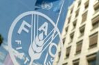 نماینده ایران در فائو: تنگه هرمز پیش از تجاوز علیه ایران باز بود