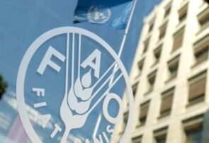 نماینده ایران در فائو: تنگه هرمز پیش از تجاوز علیه ایران باز بود