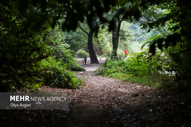 پارکهای طبیعی فرصتی برای توسعه گردشگری غرب مازندران است پارکهای طبیعی فرصتی برای توسعه گردشگری غرب مازندران است