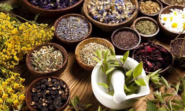 پاکسازی بدن در بهار طبق طب سینایی؛ ۵ معجزه ساده که آلرژی را ریشهکن میکند