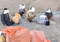 کشف و دستگیری سودجویان گیاهان دارویی در شیرکوه تفت