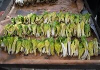  «کلوس»؛ گیاه گران‌بهای برف‌زاد چهارمحال‌وبختیاری