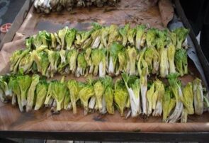  «کلوس»؛ گیاه گران‌بهای برف‌زاد چهارمحال‌وبختیاری