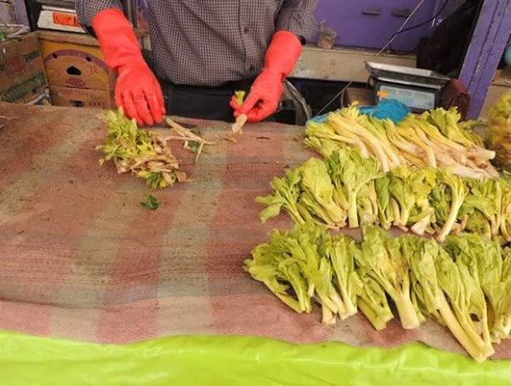  «کلوس»؛ گیاه گران‌بهای برف‌زاد چهارمحال‌وبختیاری