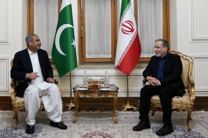گفتگوی وزیر کشور پاکستان با عراقچی درباره آخرین وضعیت امنیتی منطقه