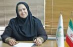 ۱۰۰ هزارزنبوردارایرانی بدون جایگاهی مستقل/سقوط رتبه جهانی ایران درعسل