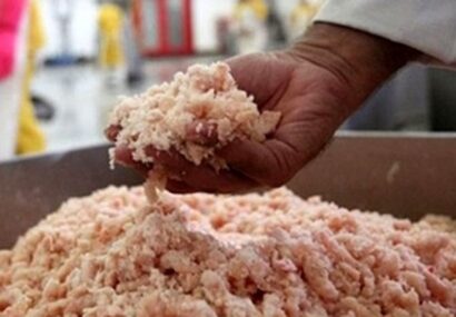 ۱۵ تن خمیر مرغ غیر بهداشتی در شهرضا توقیف شد