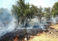 ۵۷ تشکل زیستمحیطی در ایلام برای مقابله با آتش سوزی ساماندهی شد ۵۷ تشکل زیستمحیطی در ایلام برای مقابله با آتش سوزی ساماندهی شد