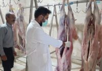 استقرار ۵۱ گروه دامپزشکی برای نظارت بر ذبح دام‌های نذری در مرکزی