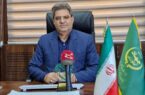 اسلامشهر گنجینه پنهان امنیت غذایی ایران/منبع غذایی پایتخت کجاست؟