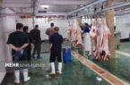 ذبح دام نذری در کشتارگاه‌های مجاز انجام شود