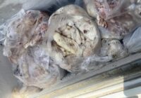 شفاف‌سازی دادستان بندرعباس درباره موضوع سرقت ۷۰ تن گوشت معدوم‌شده