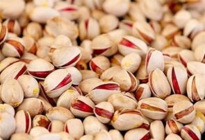 صادرات ۲۷ میلیون یورو پسته ایران به اروپا در ۳ ماه